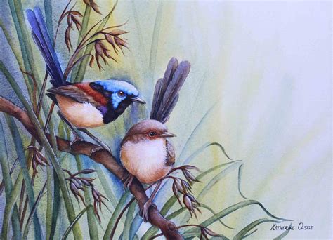 Wren Together… Variegrated Fairy-Wrens – Wildlife Art Work