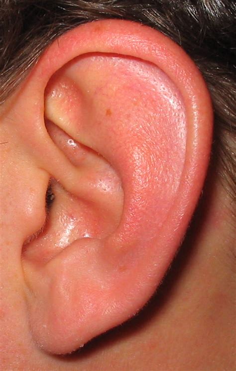 11 of the Most Common Ear Diseases & Symptoms in Adults