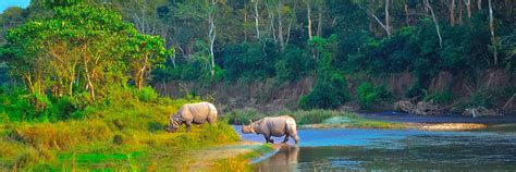 Chitwan nepal | chitwan national park nepal | Wild Voyager