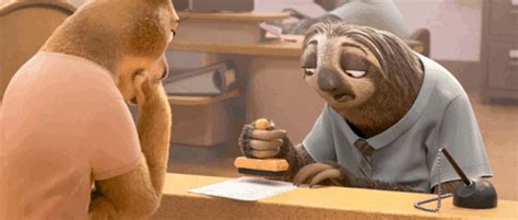 Sloth GIFs - Get the best GIF on GIPHY