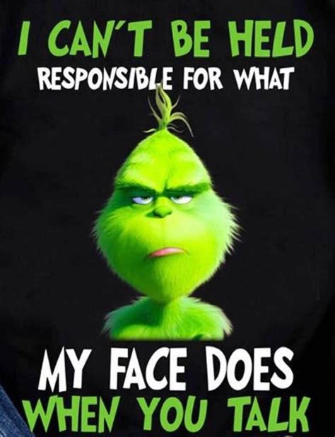 Pin by Joanna Nelson on Christmas Love & Giggles | Grinch quotes, Funny ...