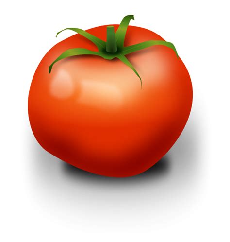 tomato clip art - Clip Art Library