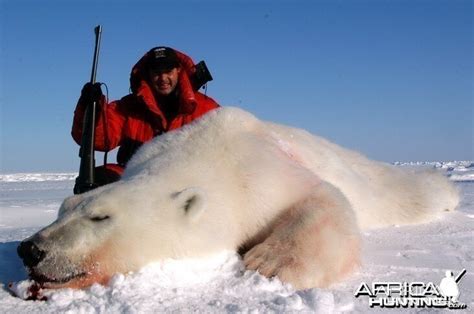 Polar Bear Hunting | AfricaHunting.com