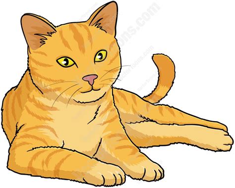 Orange Cat With Yellow Eyes Lying Down And Looking Ahead | Cats ...