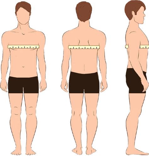 Chest Measurement