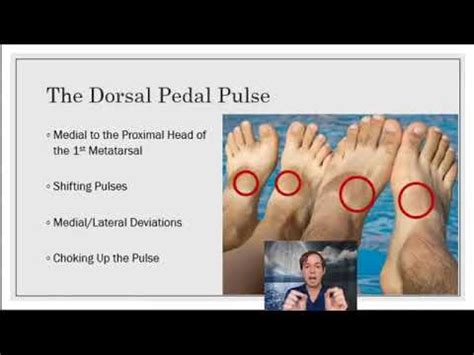 Pulse Assessment in Reflexology - YouTube