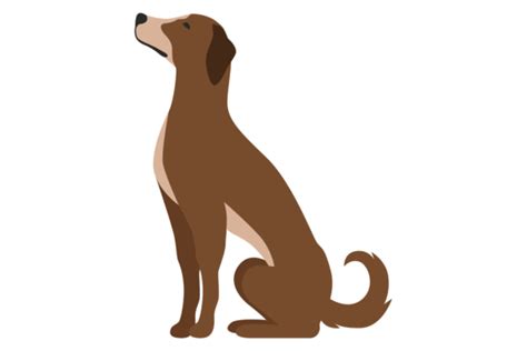 Dog Sitting Pose. Cartoon Pet Side View Graphic by onyxproj · Creative ...