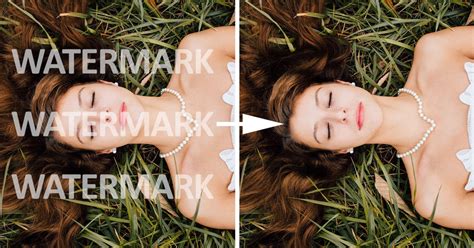 AI Can Easily Erase Photo Watermarks: Here's How to Protect Yours ...