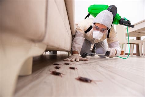 10 Best Pest Control Products