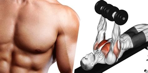 13 Best Science-Backed Chest Exercises for Huge Pecs