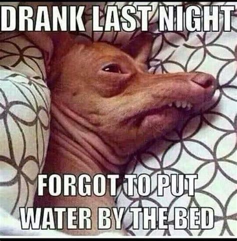 30 Hangover Memes That Are Way Too True - SayingImages.com