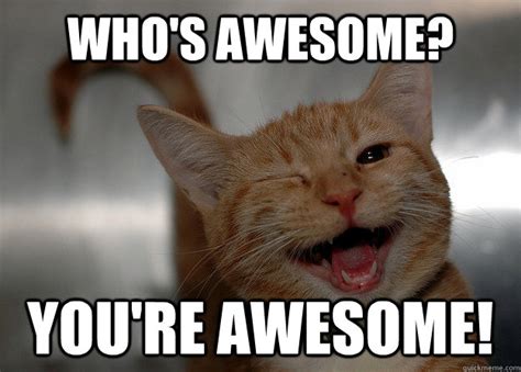 Who's awesome? You're awesome! - Cheer up Cat - quickmeme