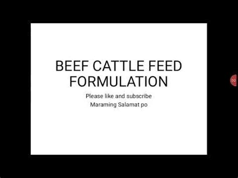 Beef Cattle Feed Formulation - YouTube