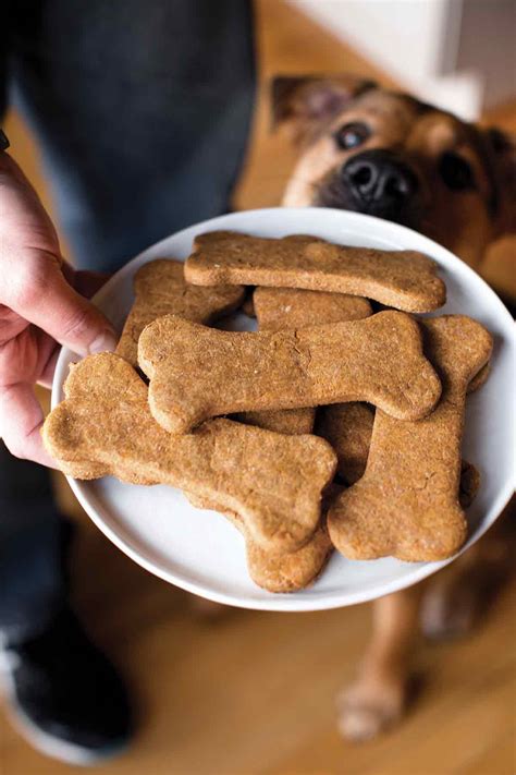 YUMMY PEANUT BUTTER HONEY DOG TREATS – Dogs Go Wuff | Official Website