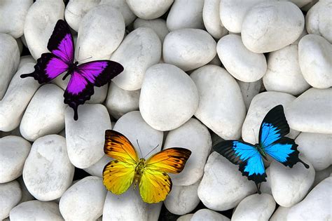 HD wallpaper: Artistic, Butterfly, Rock, Stone | Wallpaper Flare