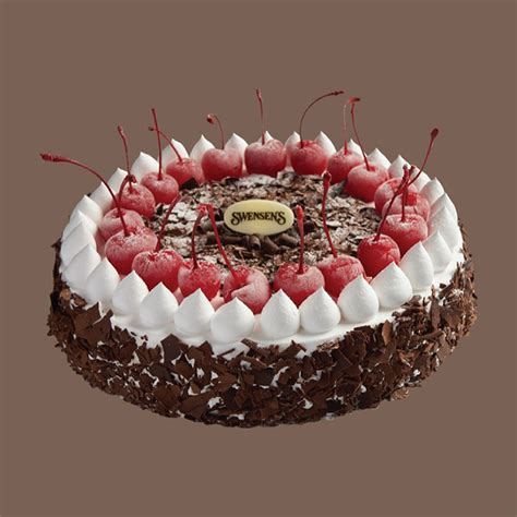 Swensen's Enchanted Black Forest Ice Cream Cake | Shopee Singapore