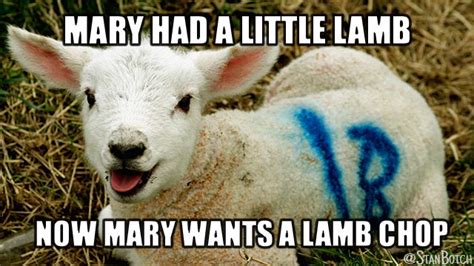 23 Funny Sheep Memes, Botch