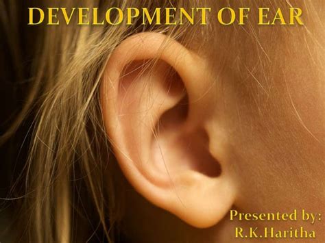 Development of ear