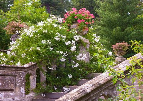 Flickriver: Photoset 'Englefield House Garden, Berkshire' by Nigel Burkitt