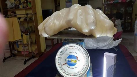 World's Largest Natural Giant Clam Pearl Worth $130 Million Was Sitting ...