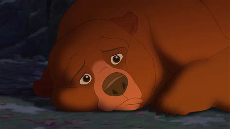 Brother Bear 2 (2006) - Disney Screencaps | Brother bear, Bear ...