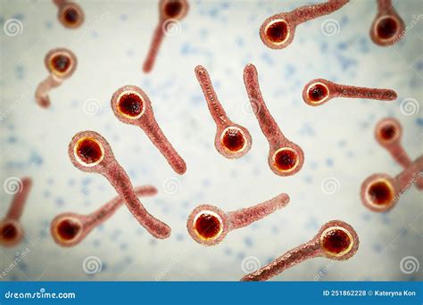 Clostridium Tetani Bacteria Royalty-Free Illustration | CartoonDealer ...