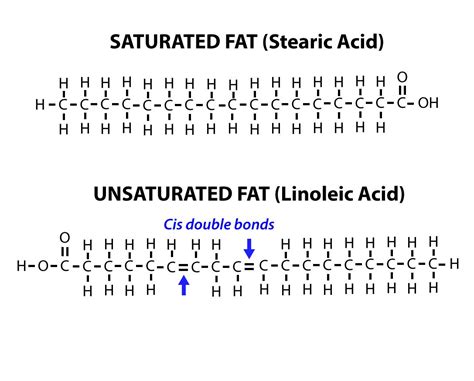 Saturated and unsaturated | Biology, Chemical reactions, Cell membrane