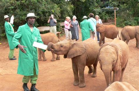 Sheldrick Elephant Orphanage - Lenchada Safaris