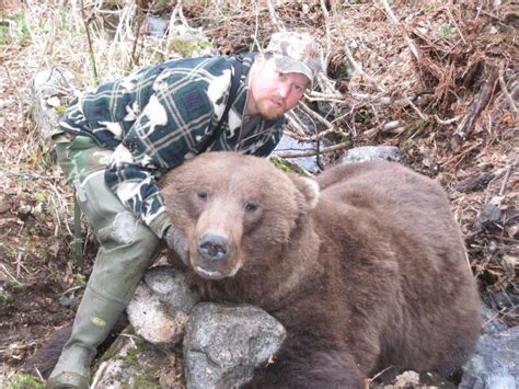 Brown Bear Hunts