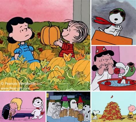 Peanuts Great Pumpkin Collection (6 Videos) » Total Home Decor