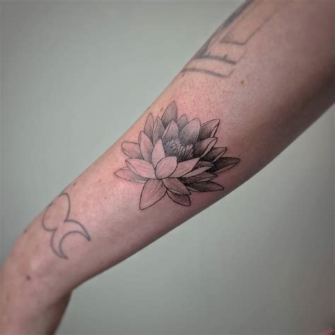 Water Lily Tattoo Ideas: Designs and the Meaning