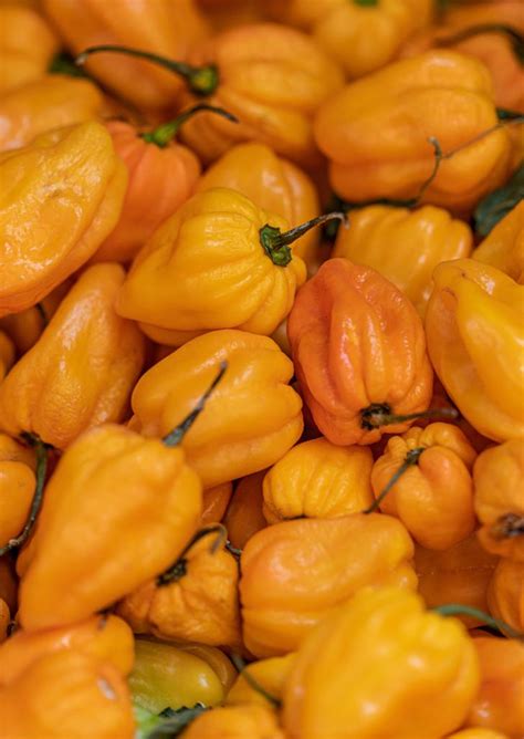 Health Benefits Of Habanero Peppers - Health Benefited