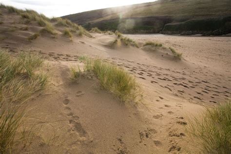 Winter Sand Dunes | Cornwall Guide Images