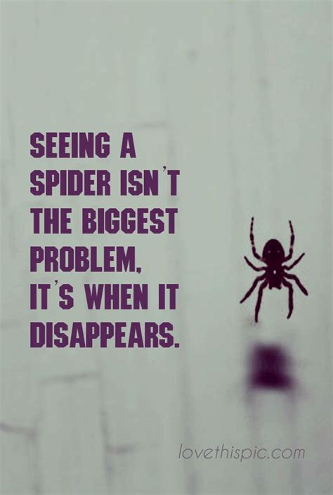 Spider funny cute lol disappear humor pinterest spider pinterest quote ...