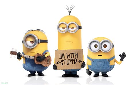 Funny Minions Wallpapers - Top Free Funny Minions Backgrounds ...