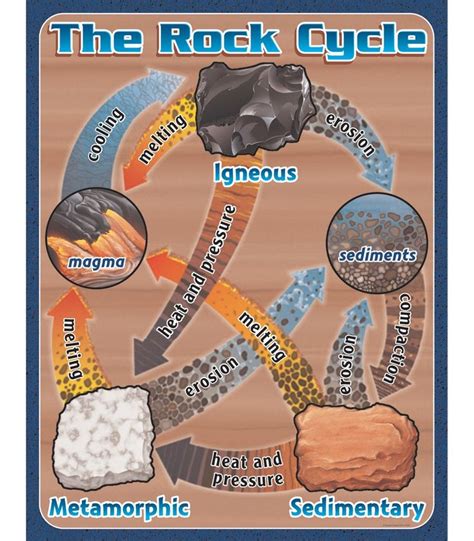 The Rock Cycle Diagram The rock cycle | Earth science lessons, Rock ...