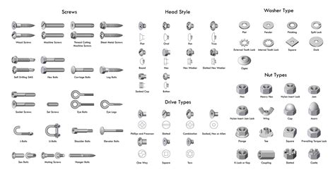 Types of Screws chart : coolguides