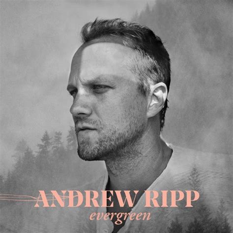 [Album] Evergreen - Andrew Ripp | COGHIVE 2024