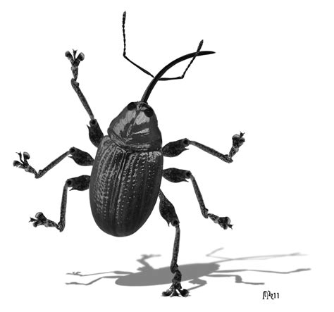 Digital Art Cockroach GIF by Colin Raff - Find & Share on GIPHY