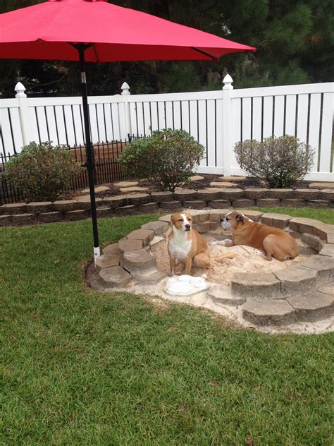 20+ Backyard Ideas For Dogs - MAGZHOUSE