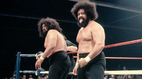 The Wild Samoans To Be Added To Hall Of Fame – Inside Pro Wrestling