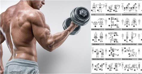 Biceps Workout That Will Have You Bursting Through Your Sleeves ...