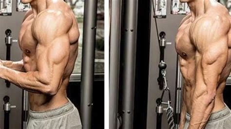 Secret Routines To Build The Size And Shape Of Your Horseshoe Triceps ...