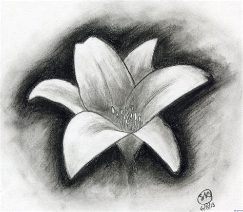 Charcoal Drawing Beginners Easy Charcoal Drawings Flowers Shading ...