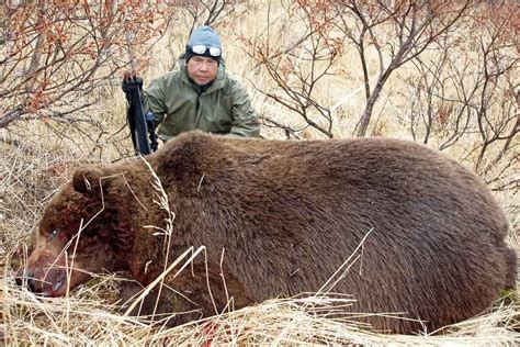 Photos | Kodiak Bear Hunting Guide