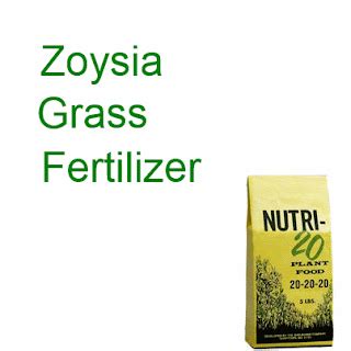 Zoysia Grass: Zoysia Grass Fertilizer | Read This BEFORE You Fertilize