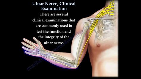 Ulnar Nerve, Clinical Examination - Everything You Need To Know - Dr ...