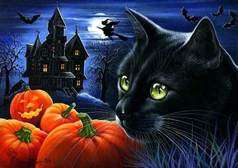 10 New Halloween Black Cats Wallpaper FULL HD 1920×1080 For PC Desktop 2023