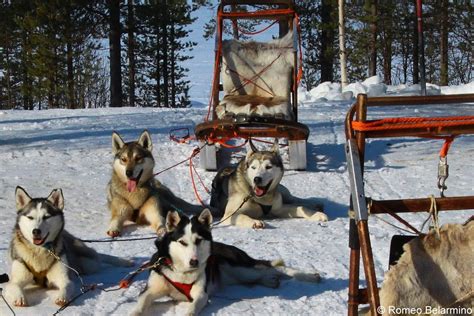 Exciting Outdoor Winter Activities in Sweden’s Lapland | Travel the World