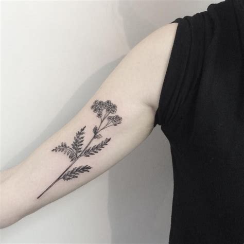 Image result for yarrow tattoo | Herb tattoo, Tattoos, Mother nature ...